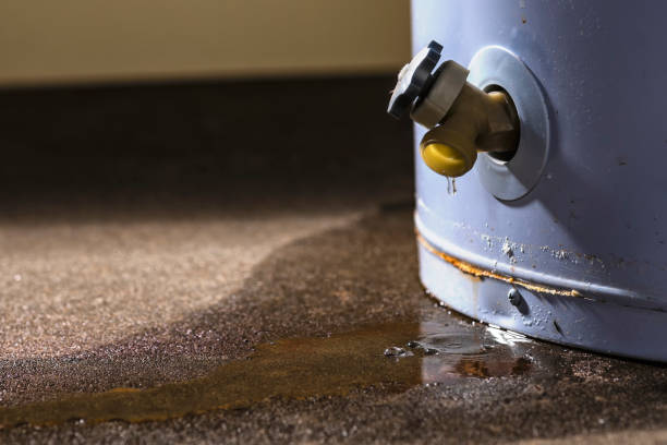 Water damage restoration mold remediation in Hickman, KY
