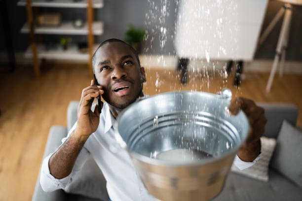 Best Water damage mitigation services  in Hickman, KY