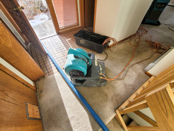 Best Fire Damage Restoration  in Hickman, KY
