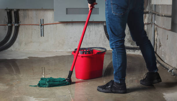 Best Flood damage cleanup  in Hickman, KY