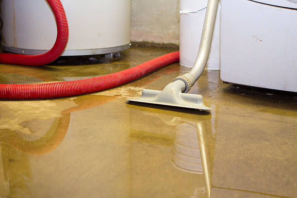 Best Local water damage restoration  in Hickman, KY