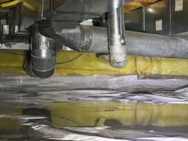 Best Water damage cleanup near me  in Hickman, KY