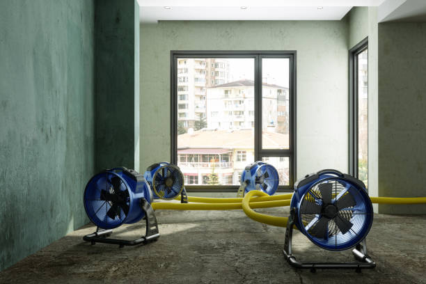 Best Residential water damage restoration  in Hickman, KY